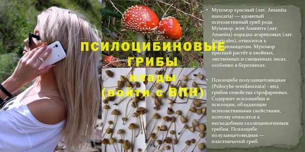 каннабис Верея