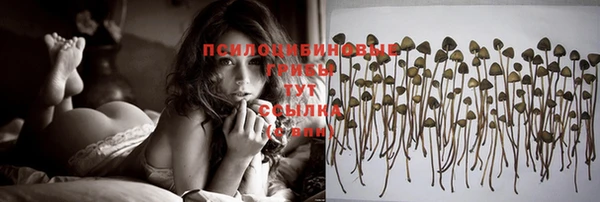 каннабис Верея