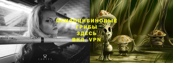гашик Верхний Тагил
