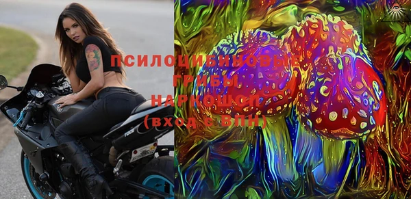 гашик Верхний Тагил